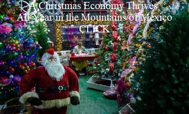 A Christmas Economy Thrives All Year in the Mountains of Mexico